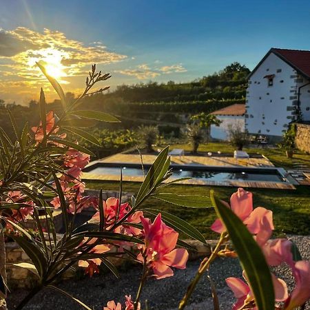 Skerlj Wine Estate Guest House Tomaj Luaran gambar