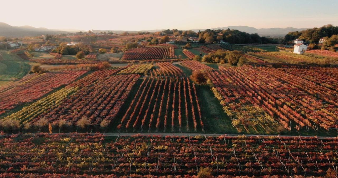 Skerlj Wine Estate Guest House Tomaj Luaran gambar