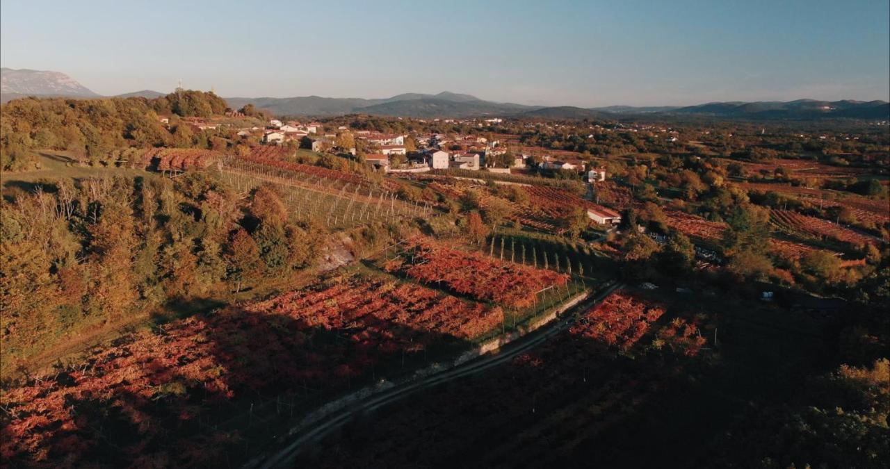 Skerlj Wine Estate Guest House Tomaj Luaran gambar