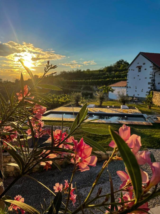 Skerlj Wine Estate Guest House Tomaj Luaran gambar